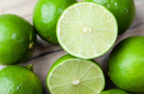Excluído! Taiti tem título de ‘limão’ revogado; afinal, que fruta é essa?