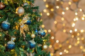 Muitos nem imaginam: ESTA é a data certa para montar a árvore de Natal