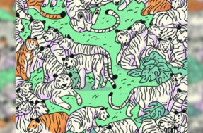 Não parece, mas uma zebra se camuflou entre os tigres; você é capaz de encontrar?