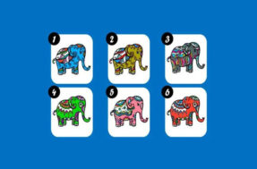 Teste de personalidade: escolha um dos elefantes e se surpreenda