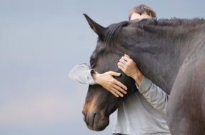 Desafio do ‘homem-cavalo’: olhe rápido e encontre o dono do animal na imagem