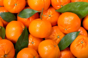 Não jogue fora! 5 benefícios poderosos ao guardar a casca de tangerina