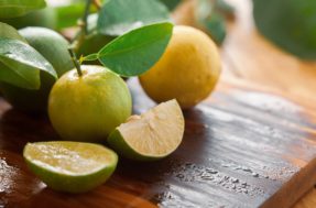 Não jogue o resto de limão no lixo: ele ainda pode ter 9 utilidades inacreditáveis