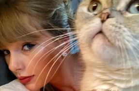 ‘Aristogatas’: gata de Taylor Swift é o terceiro animal de estimação mais rico do mundo