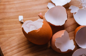 Não jogue fora as cascas de ovo: elas podem salvar suas plantas!