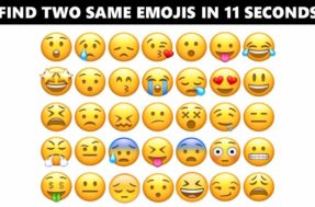Encontre os emojis iguais em 11 segundos! 99% das pessoas falharam