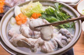 Fugu: prato feito com baiacu venenoso é um dos mais perigosos do Japão