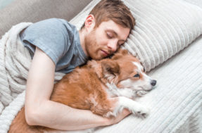 Seus pets dormem com você? Cuidado para não pegar ESTAS doenças