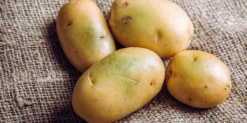 Não jogue fora: batatas esverdeadas e com brotos têm salvação