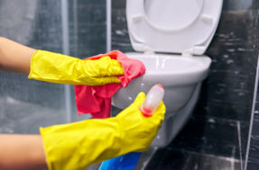 Vaso sanitário impecável: o que ninguém te conta na hora da limpeza