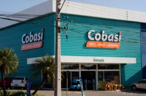 Cobasi abre 283 vagas para vendedor, operador de caixa, veterinário e outros cargos
