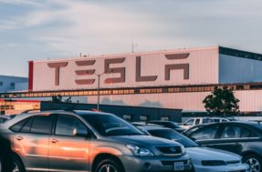 Musk não para! Tesla anuncia produção de novo modelo de automóvel