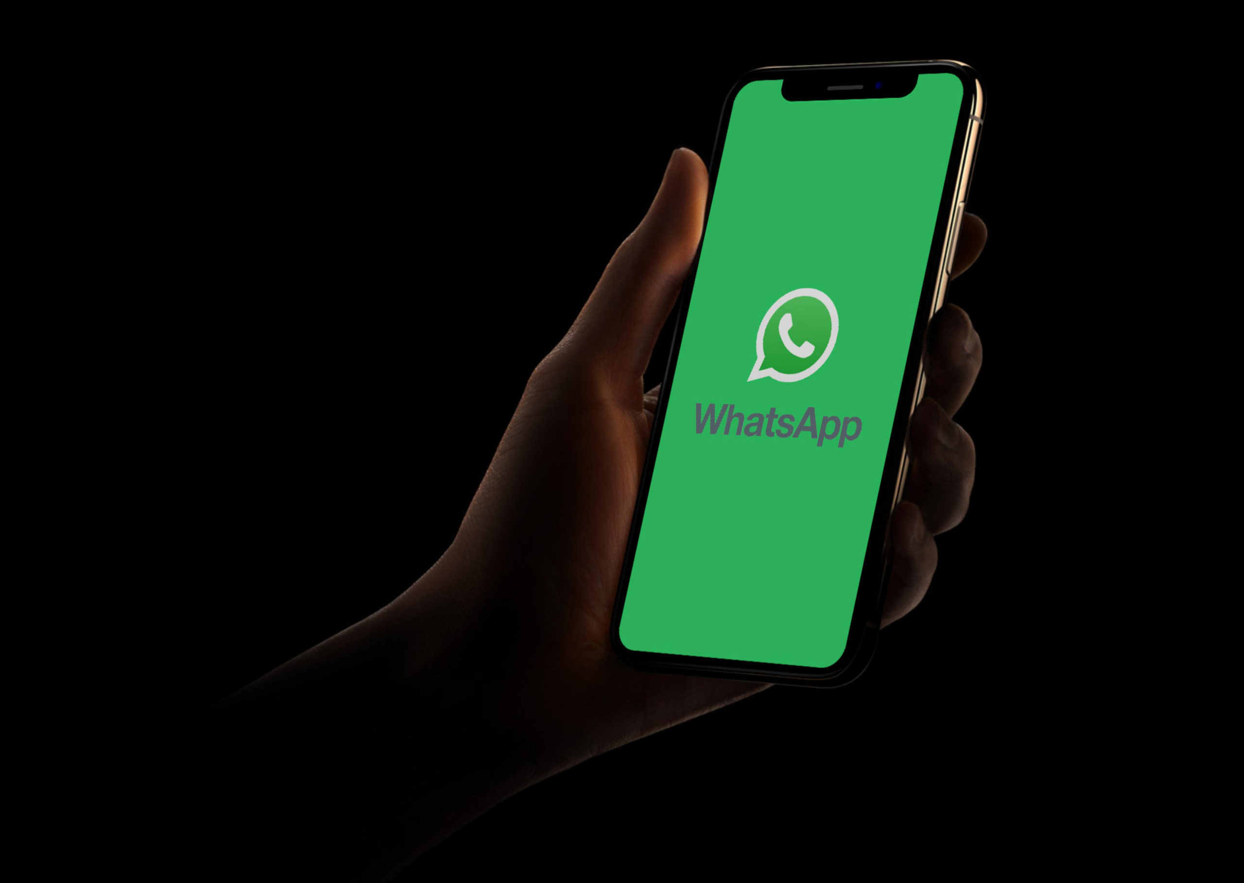 Trick to not clog your phone memory with WhatsApp images