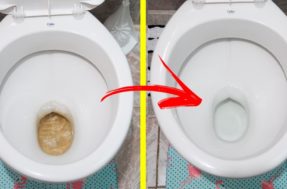 Este é o truque mais eficiente para deixar o fundo do vaso sanitário branco