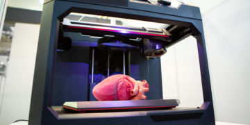 Fim dos transplantes? Instituto desenvolve coração 3D que imita original