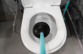 Limpeza profunda: uso do sal no vaso sanitário previne entupimentos e higieniza