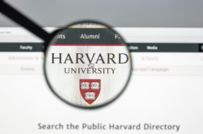 Tenha Harvard no currículo: universidade oferta mais de 100 cursos EaD e de graça