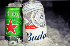 BudTour: Budweiser levará clientes para festivais de música com tudo pago; veja como participar