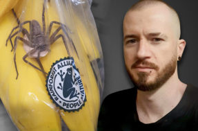 Ele comprou um saco de bananas, mas encontrou algo assustador