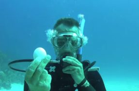 Vídeo! Mergulhador quebra um ovo embaixo d’água e resultado é incrível