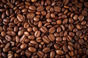 Proibida! Venda de marca de café famosa em Minas Gerais é suspensa