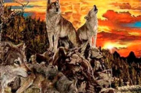 Quantos lobos você consegue ver? Sua resposta revelará sua verdadeira natureza