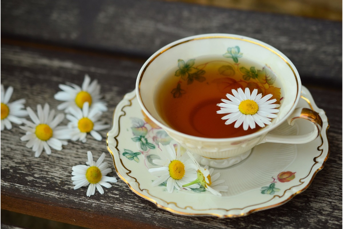 6 plants that are easy to grow and make great tea