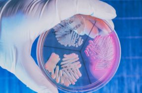 Bactérias comedoras de carne encontradas em plásticos assustam cientistas