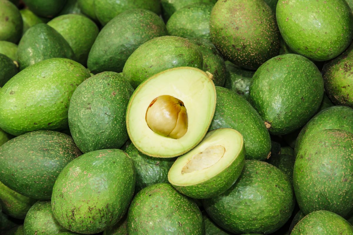 Frutas que aumentam a massa muscular: Abacate