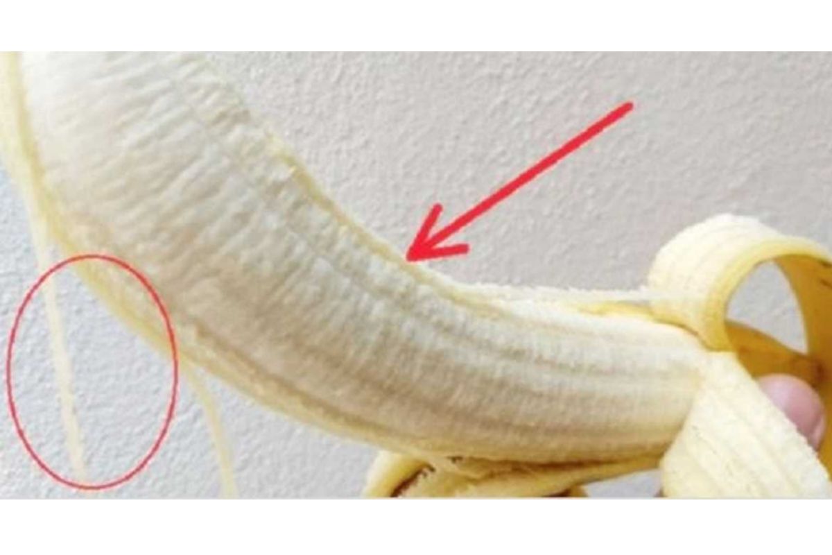 O que são os fios brancos das bananas