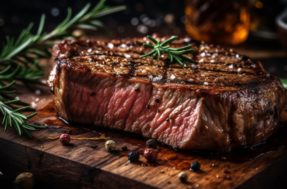 Perfecta Grill: como fazer a carne perfeita sem precisar da ajuda de um chef