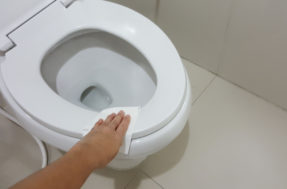 A regra é clara: nunca coloque papel higiênico no assento do vaso sanitário