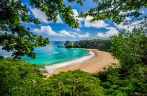 Impressionante praia brasileira é eleita a MELHOR do mundo e choca turistas