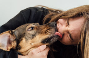 Humano mau: pets desaprovam 5 dos nossos comportamentos; veja quais