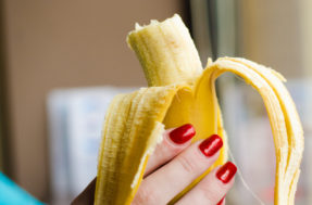 Indigestão na certa! Estudante come banana que valia cerca de R$ 590 mil