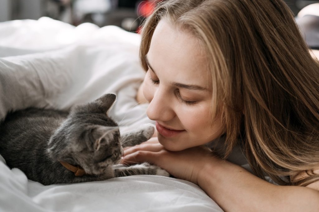 Adotar um gato Deseja adotar Saiba as melhores dicas dos veterinários