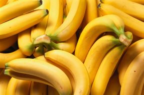 Dias contados? Será um desafio encontrar banana no mercado no futuro