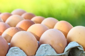 Os ‘marombas’ lamentam: por que o ovo está tão caro no Brasil?