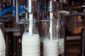 Mais uma! Anvisa suspende venda DESTE leite por produção arriscada