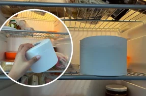 Que moda é essa: POR QUE pessoas estão colocando papel higiênico na geladeira?