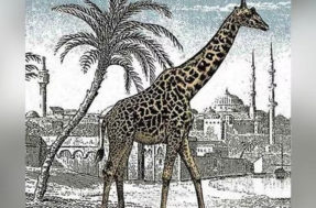 Não é tão difícil achar a 2ª girafa em 15s, mas muita gente não consegue