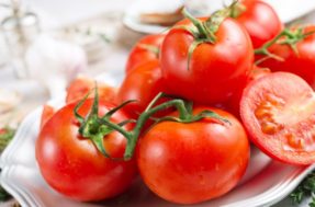 Truque que os restaurantes usam para temperar tomate e fisgar os clientes