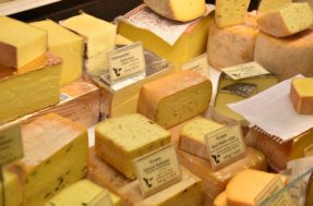 Péssimos! Nova pesquisa encontra queijos de marca com ZERO qualidade