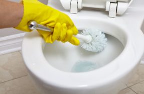 O segredo dos hotéis para remover a temida ‘crosta’ do vaso sanitário