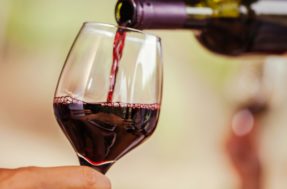 Alerta! MAPA apreende mais de 1.000 garrafas de vinho contrabandeados