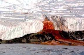 Mistério REVELADO: saiba o que é a Cachoeira de Sangue na Antártica