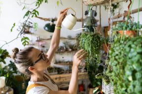As 4 dicas de um florista para regar plantas que todos deveriam aprender