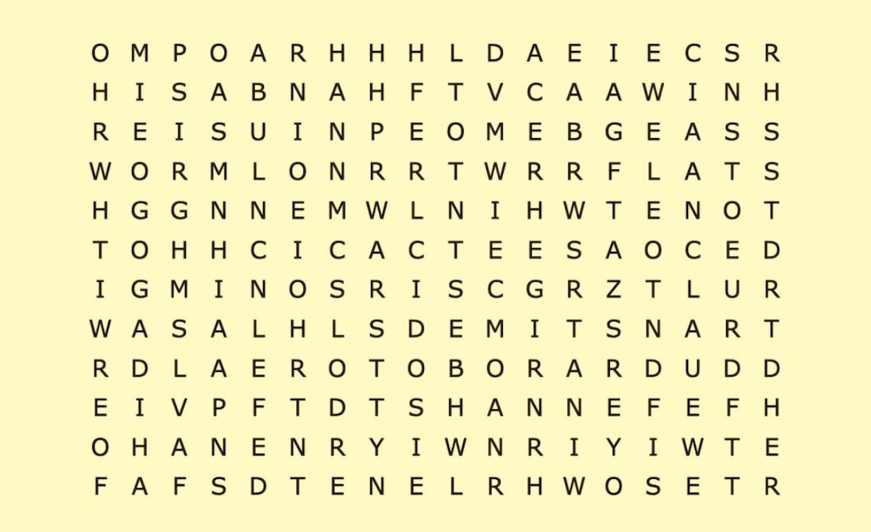 Caça-palavras: encontre "terminal" entre as letras