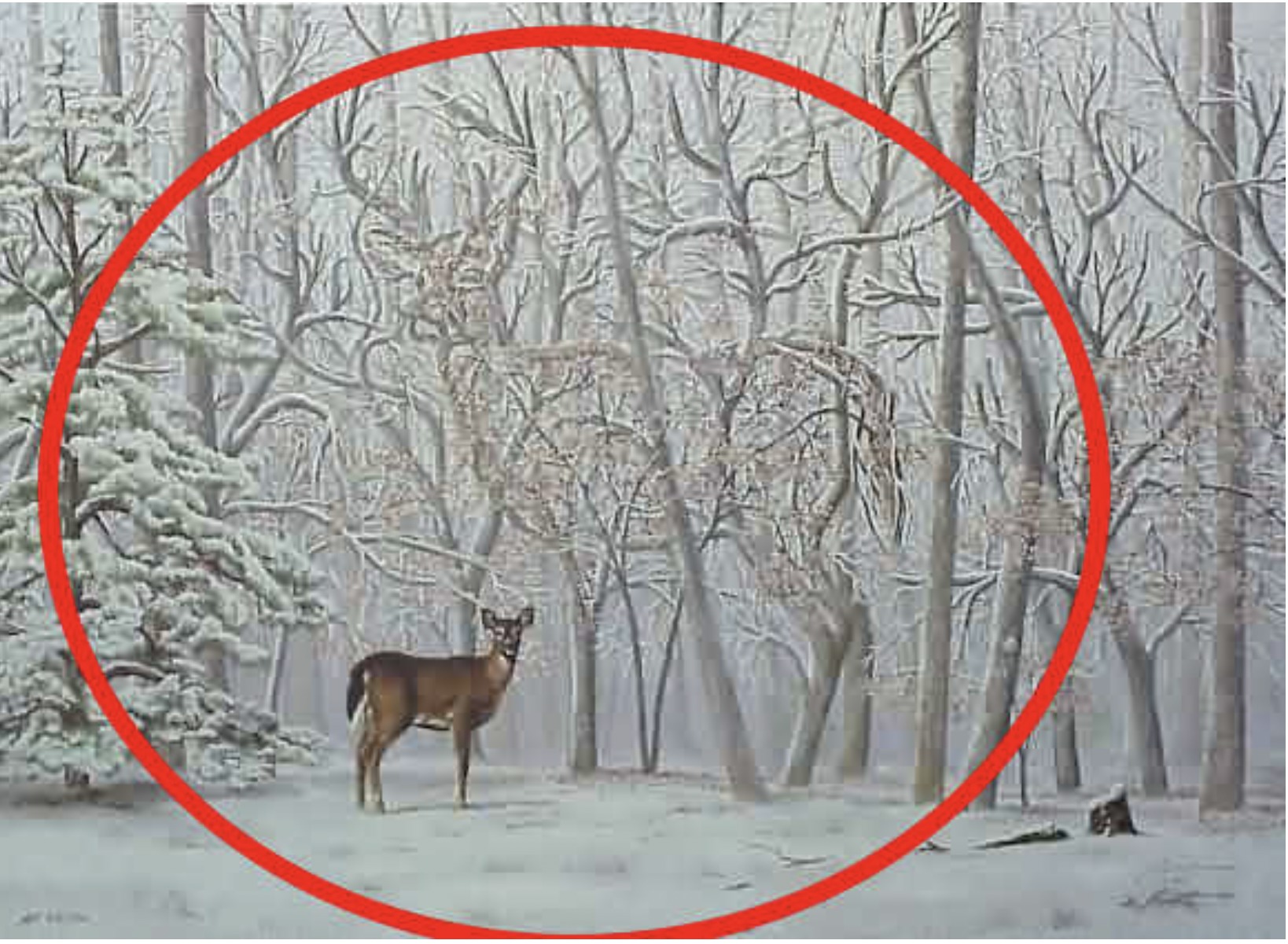 Encontre o segundo cervo em 5 segundos. (Imagem: Pinterest/Reprodução) - gabarito