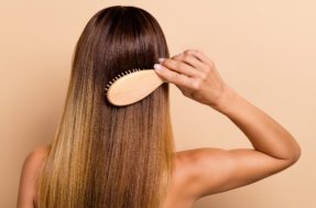 TOP 5 óleos naturais para ter cabelos fortes e volumosos; veja a lista
